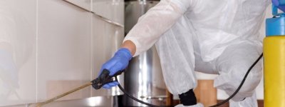 Sarıyer Böcek İlaçlama