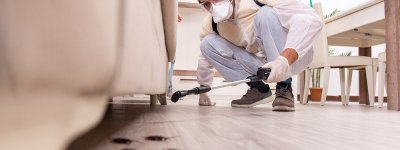 Sarıyer Hamam Böceği İlaçlama