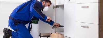 Sarıyer Pire İlaçlama