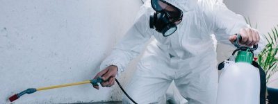 Sarıyer Karınca İlaçlama