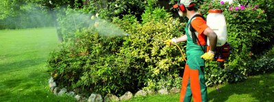 Sarıyer Bahçe İlaçlama